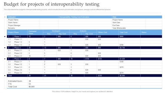 Interoperability Software Testing Budget For Projects Of Interoperability Testing Summary PDF