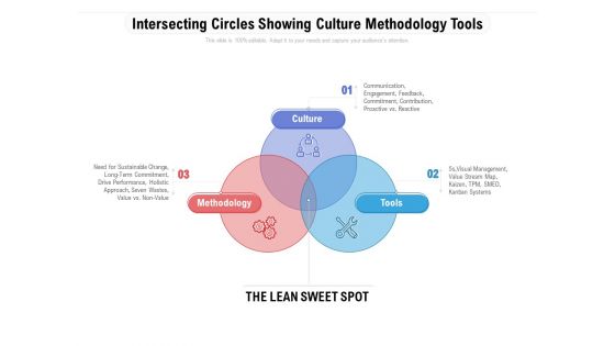 Intersecting Circles Showing Culture Methodology Tools Ppt PowerPoint Presentation Professional Graphic Images PDF