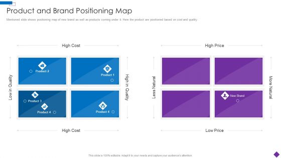 Introducing A New Product To The Market Product And Brand Positioning Map Microsoft PDF