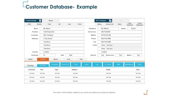 Introducing CRM Framework Within Organization Customer Database Example Mockup PDF