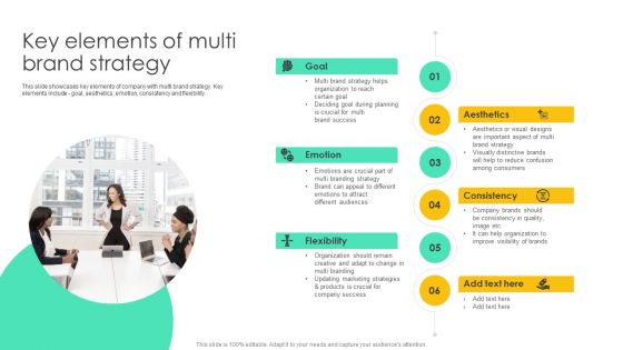 Introducing Various Brands To Seize Market Share Key Elements Of Multi Brand Strategy Formats PDF