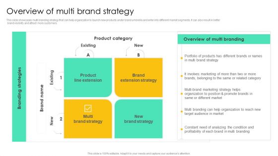 Introducing Various Brands To Seize Market Share Overview Of Multi Brand Strategy Download PDF