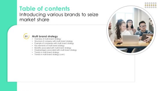 Introducing Various Brands To Seize Market Share Table Of Contents Download PDF