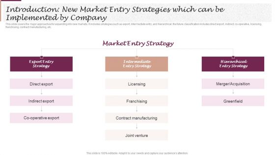 Introduction New Market Entry Strategies Which Can Be Implemented By Company Guidelines PDF