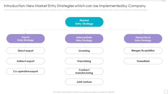 Introduction New Market Entry Strategies Which Can Be Implemented By Company Portrait PDF