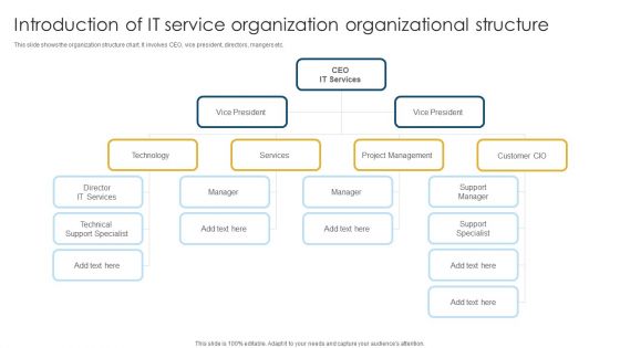 Introduction Of IT Service Organization Organizational Structure Designs PDF