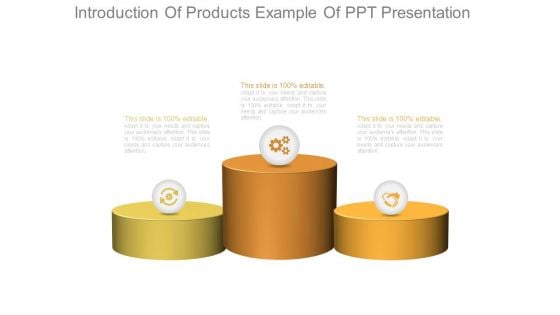 Introduction Of Products Example Of Ppt Presentation