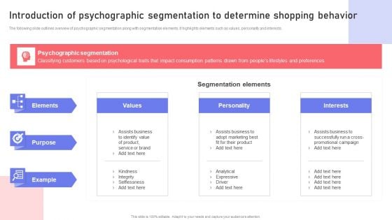 Introduction Of Psychographic Segmentation To Determine Shopping Behavior Rules PDF