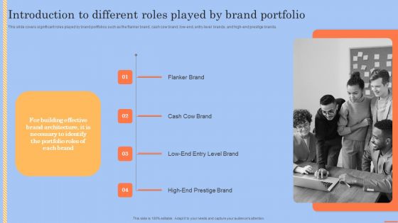 Introduction To Different Roles Played By Brand Portfolio Demonstration PDF