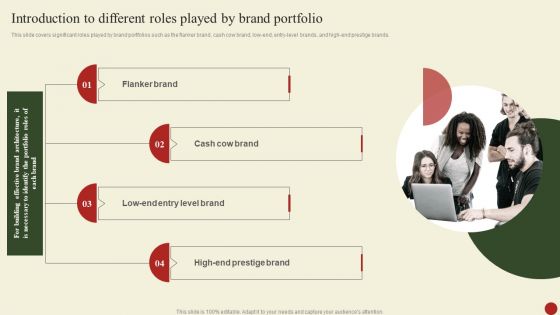 Introduction To Different Roles Played By Brand Portfolio Professional PDF