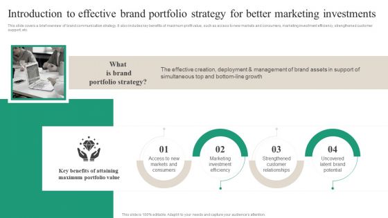 Introduction To Effective Brand Portfolio Strategy For Better Marketing Investments Elements PDF