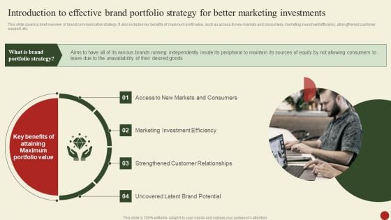 Introduction To Effective Brand Portfolio Strategy For Better Marketing Investments Structure PDF