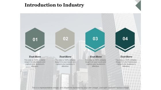 Introduction To Industry Ppt PowerPoint Presentation Outline Graphics Template