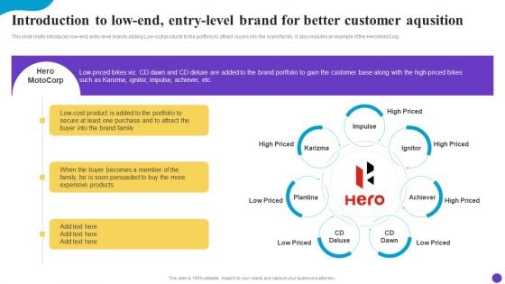 Introduction To Low End Entry Level Brand For Better Customer Aqusition Pictures PDF
