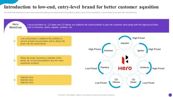 Introduction To Low End Entry Level Brand For Better Customer Aqusition Pictures PDF