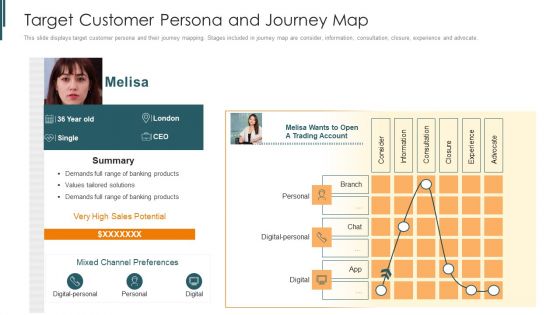 Introduction To Mobile Money In Developing Countries Target Customer Persona Inspiration PDF