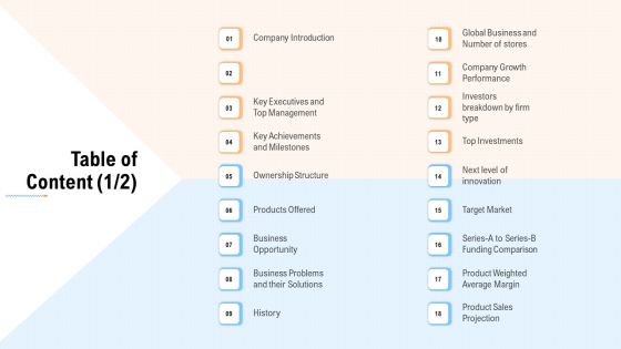 Investment A Business By Private Capitalist Angel Investor Via Series B Financing Table Of Content Icon Icons PDF