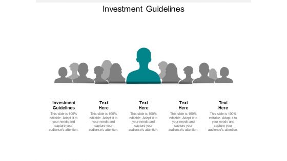 Investment Guidelines Ppt PowerPoint Presentation Inspiration Vector Cpb