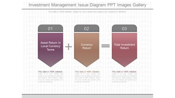 Investment Management Issue Diagram Ppt Images Gallery