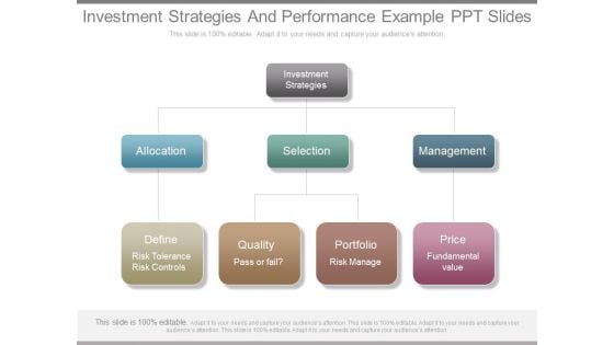 Investment Strategies And Performance Example Ppt Slides