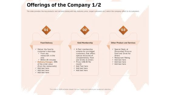 Investor Deck For Capital Generation From Substitute Funding Options Offerings Of The Company Template PDF