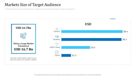 Investor Deck For Procuring Funds From Money Market Markets Size Of Target Audience Template PDF