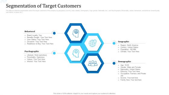 Investor Deck For Procuring Funds From Money Market Segmentation Of Target Customers Rules PDF