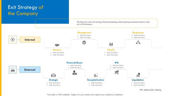 Investor Pitch Deck For Interim Financing Exit Strategy Of The Company Themes PDF