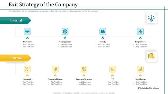 Investor Pitch Deck Short Term Caveat Loan Exit Strategy Of The Company Professional PDF