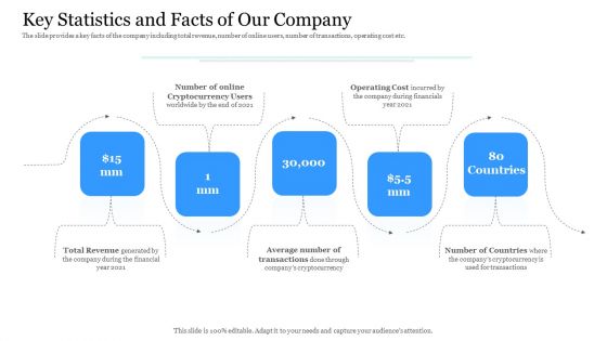 Investor Pitch Ppt Raise Finances Crypto Initial Public Offering Key Statistics And Facts Of Our Company Diagrams PDF