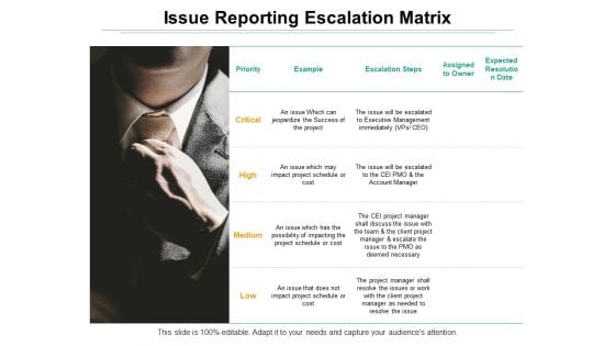 Issue Reporting Escalation Matrix Ppt PowerPoint Presentation Model Guide