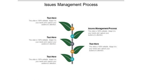 Issues Management Process Ppt PowerPoint Presentation Infographics Designs Download Cpb