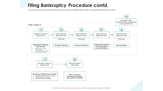 Issues Which Leads To Insolvency Filing Bankruptcy Procedure Contd Summary PDF