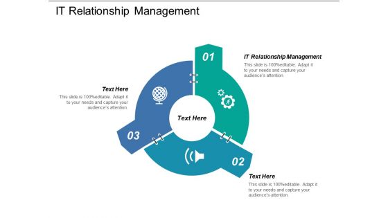 It Relationship Management Ppt PowerPoint Presentation File Demonstration Cpb