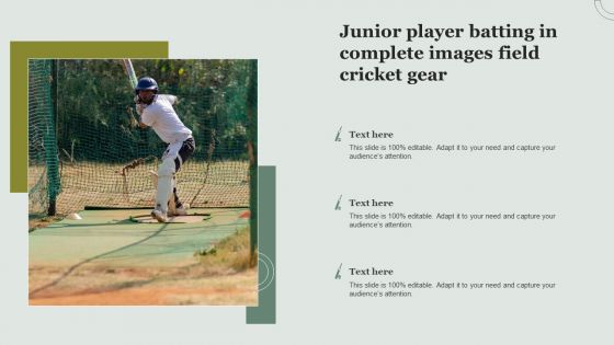 Junior Player Batting In Complete Images Field Cricket Gear Microsoft PDF