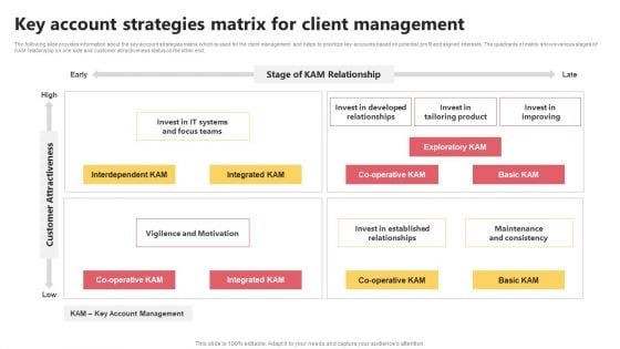 KAM Evaluation Procedure In The Organization Key Account Strategies Matrix Mockup PDF