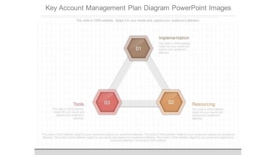 Key Account Management Plan Diagram Powerpoint Images