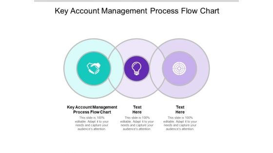 Key Account Management Process Flow Chart Ppt PowerPoint Presentation File Infographic Template Cpb