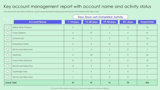 Key Account Management Report With Account Name And Activity Status Microsoft PDF