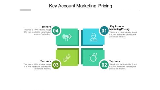 Key Account Marketing Pricing Ppt PowerPoint Presentation Layouts Inspiration Cpb