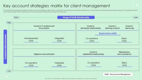 Key Account Strategies Matrix For Client Management Background PDF