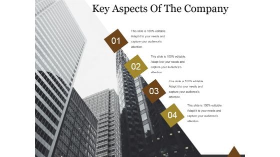 Key Aspects Of The Company Ppt PowerPoint Presentation Infographics