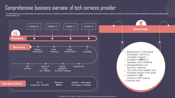 Key Business Account Management And Planning Techniques Comprehensive Business Overview Tech Services Summary PDF