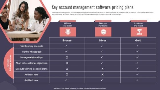 Key Business Account Management And Planning Techniques Key Account Management Software Pricing Plans Icons PDF