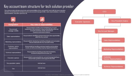 Key Business Account Management And Planning Techniques Key Account Team Structure For Tech Solution Provider Pictures PDF