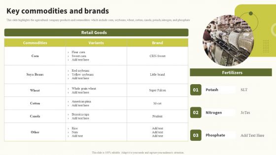 Key Commodities And Brands Global Food Products Company Profile Diagrams PDF