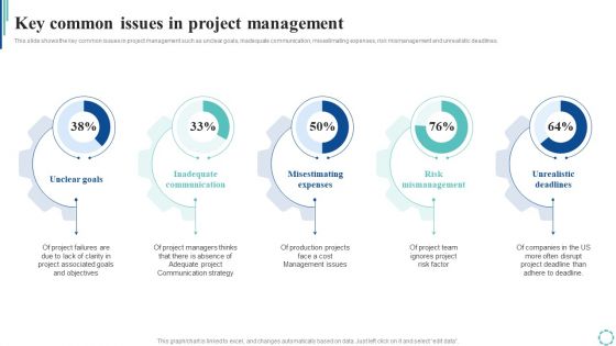 Key Common Issues In Project Management Strategies To Enhance Project Lifecycle Formats PDF