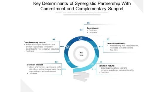 Key Determinants Of Synergistic Partnership With Commitment And Complementary Support Ppt PowerPoint Presentation File Gallery PDF