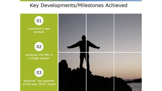 Key Developments Milestones Achieved Ppt PowerPoint Presentation Outline File Formats