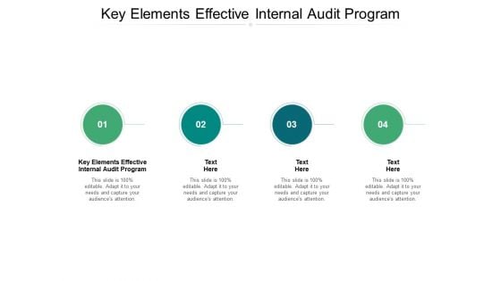 Key Elements Effective Internal Audit Program Ppt PowerPoint Presentation Show Guidelines Cpb